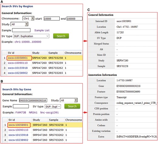 Structural variation search results in PigVar database. (A) Search by genomic region for structural variations (SVs). (B) Search by gene entry. (C) Text format of the search results for the gene ENSSSCG00000030218.