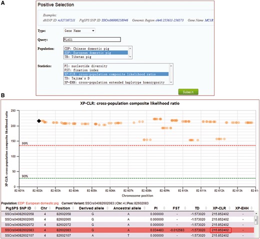Search for signals of selection for the gene PLAG1 by XP-CLR in European domestic pigs. (A) Caption of the search entry. (B) Selection signal results for PLAG1.