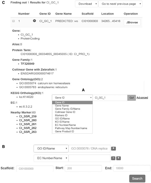 Interface for gene search and display. Data search can be performed in two different ways: (A) by keyword or under, (B) advanced search. (C) Example of the output generated upon looking for a particular gene. The results are displayed in a table format including the gene name/alias, location, sequences, and other functional features.