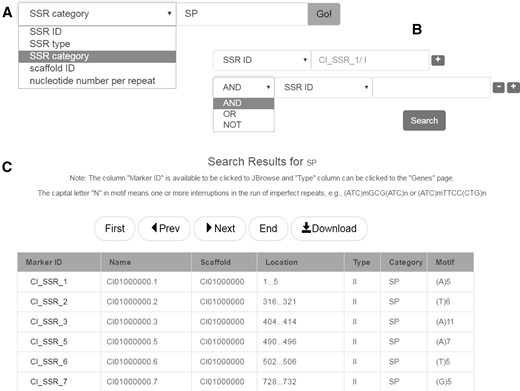 SSR database search. (A) Keyword search. (B) Advanced search. (C) The result of SSR database search.