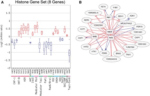 (A) Box plot output of the Gene Set Viewer tool, displaying changes in the expression of the core histone genes (HTA1, HTA2, HTB1, HTB2, HHF1, HHF2, HHT1 and HHT2). A box plot depicting the log2 mRNA ratios of the histone genes for each regulator mutant in the chromatin regulator category is depicted. Only regulator mutants that significantly affect the expression of the histone gene set (calculated using Wilcoxon rank sum test, see methods) are displayed. Regulators are grouped by protein complex or functional category. (B) Target genes regulated by both the Hir2 and Hpc2 subunits of HIR histone chaperone and repressor complex, using a threshold of P < 0.05 and fold change >1.3 (up or down). Target genes were identified using the Regulator Targets tool, and the depicted network display is adapted from the output of this tool.