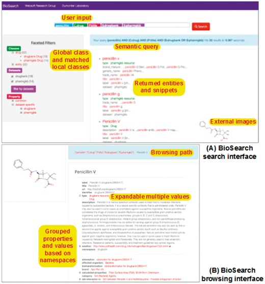 User interface of BioSearch.
