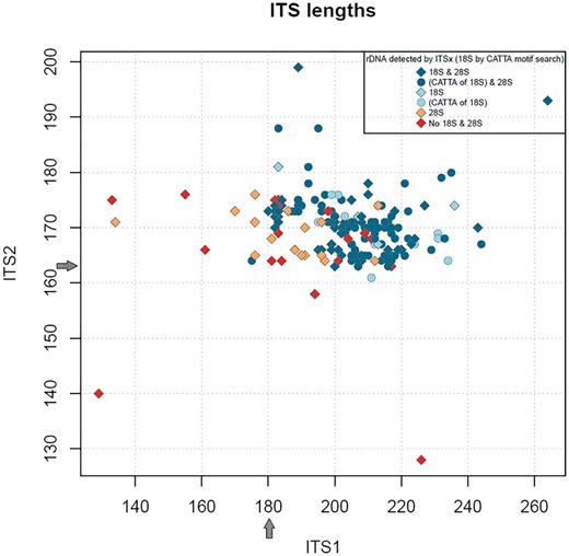 Graphical display of ITS1 length compared with ITS2 length from Trichoderma ITS RefSeq records. Grey arrows indicate the minimum lengths of ITS1 and ITS2 observed using ITSx annotation.