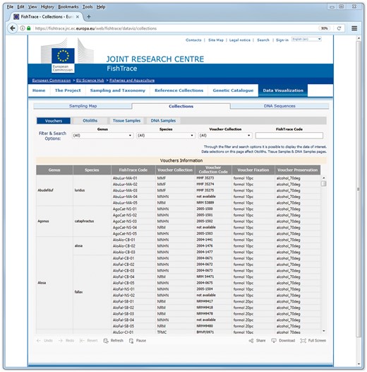 Collections data visualization page.