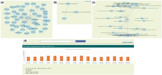 (a) Protein–protein interaction network of CXCL12 gene. (b) Gene and associated therapies suggesting potential markers for therapies. (c) Gene and associated pathways; (d) Gene expression profile of CXCL12 in ApoE−/−/LDLR−/− double knockout mice in normal (chow diet) and high fat diet resulting in atherosclerosis in animal.
