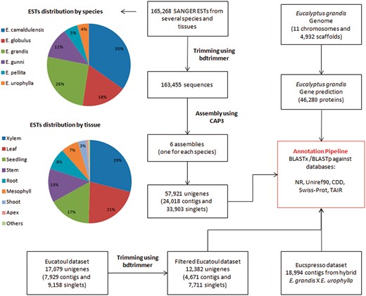 All assembled sequences (from six ESTs assemblies, Eucatoul and Eucspresso), and the E. grandis transcripts were automatically annotated with BLAST against NR, Swiss-prot, Uniref90, TAIR and CDD.