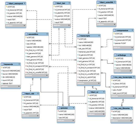 The schema was generated by the MySQL Workbench 5.2 (http://www.mysql.com/products/workbench) and not contains the tables downloaded from the Gene Ontology Consortium.