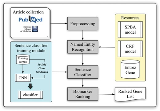 Schematic view of the developed curation pipeline.