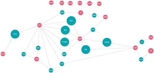 Network pathway analysis of top 15 proteins (red).