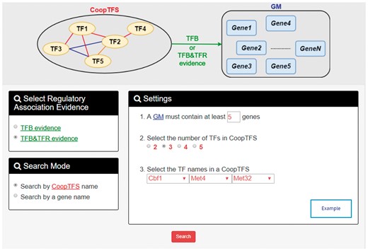 The first search mode (search by a CoopTFS name). Users have to select a CoopTFS of interest, the experimental evidence (TFB or TFB&TFR) of the regulatory associations, and a least number of genes that a GM must contain.