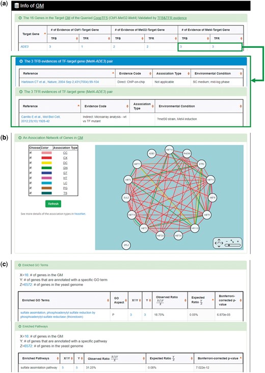 The result page of the first search mode (II). The result page consists of five parts. The last three parts are as follows. (a) The names of genes in the target GM and the number of experimental evidence of the regulatory association between any TF in the CoopTFS and any gene in its target GM are given. (b) An association network of genes in the target GM is constructed. An edge between two genes exists if these two genes have at least one of the nine kinds of associations defined by YeastNet. (c) The enriched GO terms and pathways of the GM are identified.