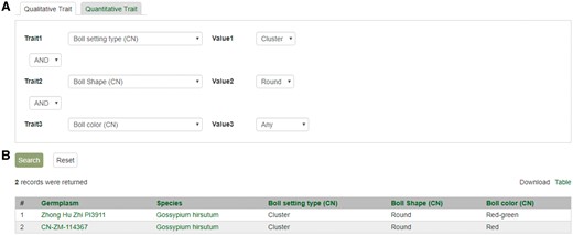 Search page for phenotype in CottonGEN. (A) There are two tabs, one for quantitative trait and the other for qualitative traits. In each page, users can choose up to three trait names and the range of phenotypic values to obtain germplasm that has the specified phenotype. (B) The returned search results show dataset name, germplasm, species and the trait values for the traits chosen.