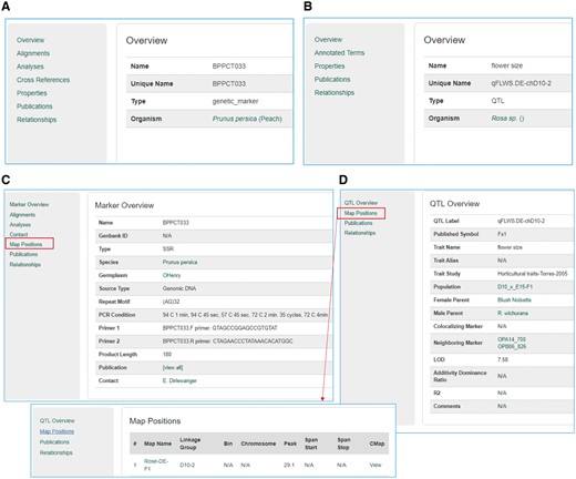 Sample pages from the Tripal core module and the Mainlab Tripal Chado Data Display module. (A) A marker page using the feature template from the Tripal core module. (B) A QTL page using the feature template from the Tripal core module. (C) A marker page using the marker template from the custom module. (D) A QTL page using the QTL template from the custom module.