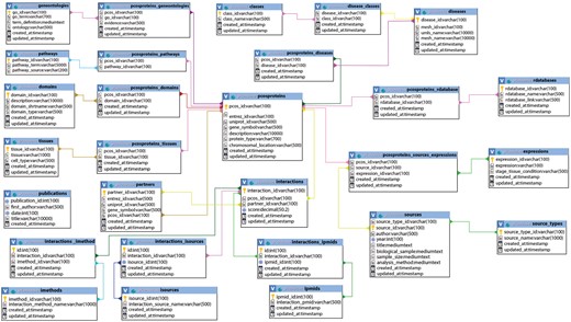 PCOSBase schema. This schema shows all the 29 tables with the connections from table to table.