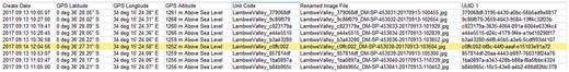 DII export in CSV-formatted text with GNSS coordinates and UUID.