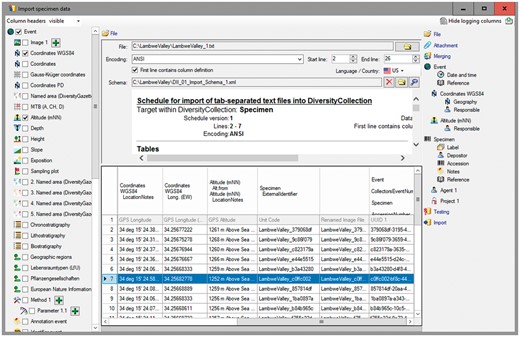DC Import Wizard with information exported from DII.