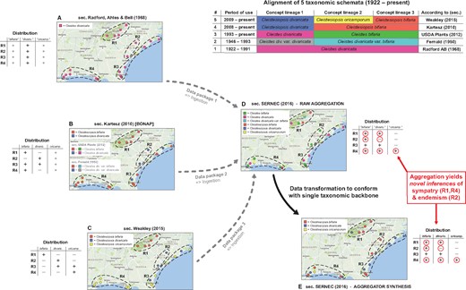 Backbone-based aggregation disrupts coherent biodiversity data packages. ‘Most real’ example adopted from Franz et al. (30). The top right table presents an alignment of five different taxonomies for the Cleistes/Cleistesiopsis complex sec. Radford et al. (101), Fernald (102), USDA Plants (103), Kartesz (104) and Weakley (94). Columns indicate the relative congruence between different taxonomic concepts, whereas rows show the period of usage, validly recognized names and sources. (A–E) Five representations of the same set of 20 specimens provided by the SERNEC Data Portal (93), with distribution maps that identify four ecoregions R1–R4 (right) and tables displaying the ecoregion-specific presence (+), absence (–) or inapplicability (o––i.e. name not available) of occurrences identified to taxonomic concept labels. (A–C) Concept occurrence patterns according three reciprocally incongruent, yet internally coherent taxonomies; (D) raw (unprocessed) aggregate of (A–C), where each source contributes a complementary subset (data package) of the 20 specimens––hence six taxonomic names are shown and (E) backbone-based transformation of (D). Both (D) and (E) support new biological inferences (red circles) regarding the sympatry of multiple entities of the complex in ecoregions R1 and R4 (= false positives), and the local endemism of an entity labeled bifaria in R2 (= false negative), which is possible if pro parte synonymy relationships are not coherently transposed in the backbone-based synthesis.