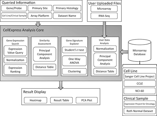 An overview of the CellExpress system. The gray block in the center shows the major functions of the CellExpress system. In the “Queried Information” block, several types of data are listed that can be searched in the CellExpress system. Both microarray and NGS data can be submitted. A total of five microarray datasets have been deposited into the CellExpress system.
