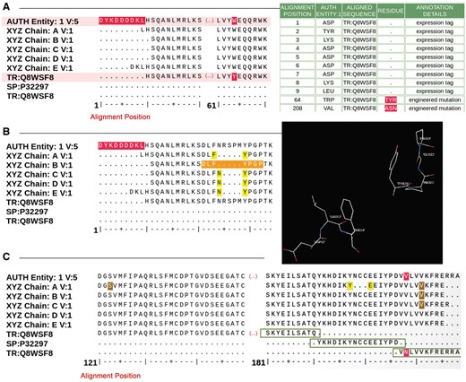 Examples of sequence alignments from the sequence processing module. (A) Alignment between the sample sequence (labeled ‘AUTH Entity’), the sequence extracted from the atom data for each polymer chain and the corresponding UniProt sequence. Sequence discrepancies are highlighted in red and listed in a table where the appropriate annotation can be selected. For example, residues 1–9 in the sample sequence (top sequence in the alignment) are not present in the UniProt sequence (bottom sequence in the alignment) because these are part of an expression tag. Similarly, the Tyrosine-Tryptophan (TYR-TRP) conflict at position 64 is annotated as a mutation based on information provided by the Depositor during data submission. (B) Example illustrating the sequence and 3D viewer. Residues depicted in orange in the sequence are highlighted and selected for visualization with the 3D viewer available on the alignment page. (C) Example of a sequence alignment for a chimeric protein construct. This chimeric acetylcholine-binding protein from Aplysia californica, PDB entry 5TVC, contains a loop C from the human alpha-3 nicotinic acetylcholine receptor. The alignment shows that residues 1–181 in the deposited sample sequence correspond to UniProt sequence Q8WSF8, residues 182–197 to UniProt sequence P32297 and residues 198–219 again to UniProt sequence Q8WSF8.