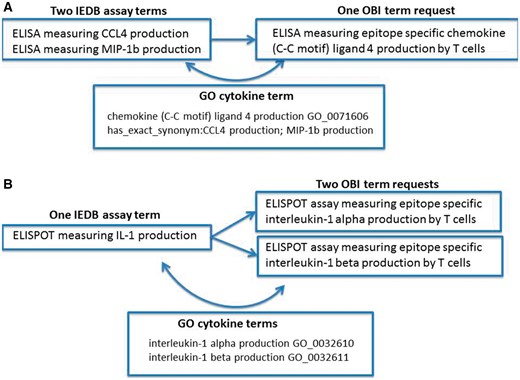 Redundancy and imprecision in IEDB assay type terms. (A) Two IEDB terms for the same assay map to a single OBI term request (OBI_0001378). (B) One IEDB assay maps to two separate OBI term requests (OBI_0001745 or OBI_0001842).