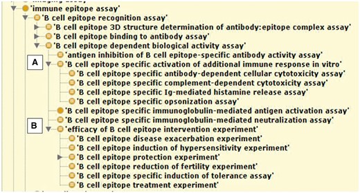Reasoned OBI hierarchy showing IEDB B cell assays with two distinct assay groups reflective of correlates of protection in (A). and true measures of in vivo protection in (B).