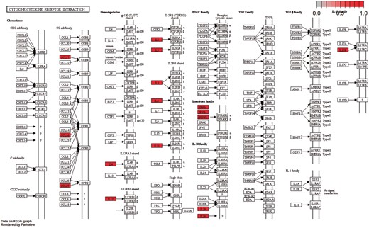 Cytokine–cytokine receptor interaction pathway: KEGG pathway with the highest enrichment score on the gene set of differentiated genes in all diseases. Highlighted with red are the genes that belong to this gene set. Pathway was visualized with pahtview R/Bioconductor package (40).