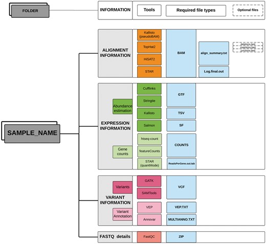 Directory structure layout for each sample. Output files (sufflix) required from the specified software for the different RNAseq analyses data types.