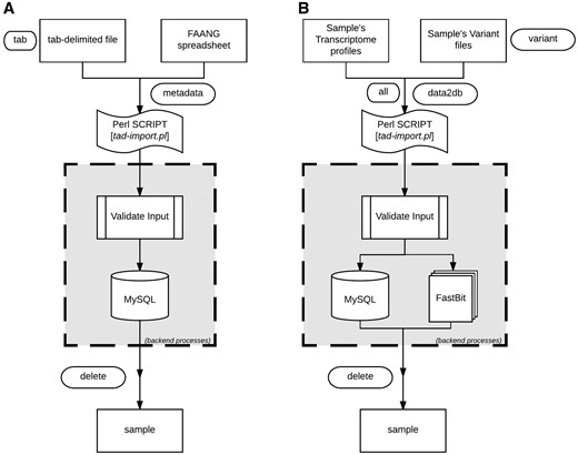 Data import procedure using tad-import.pl and available options for (A) samples metadata and (B) RNAseq data, respectively.