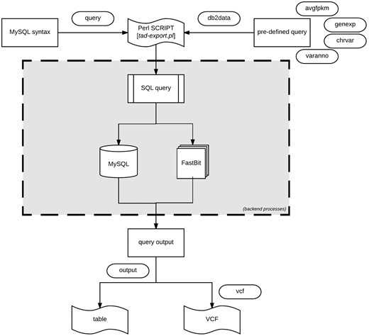 Data export procedure using tad-export.pl and available options either executing a MySQL query syntax or choosing from the four defined (avgfpkm, genexp, chrvar and varanno) options.
