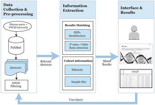 The SNPcurator workflow.