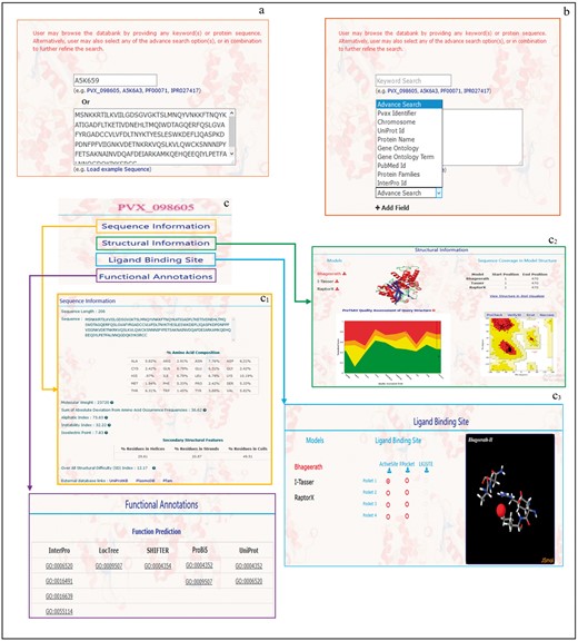 A depiction of different information provided in PvaxDB about sequence, structure, ligand binding site and function annotations.