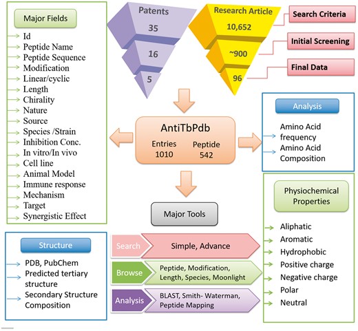 A schematic representation of information organization in AntiTbPdb.