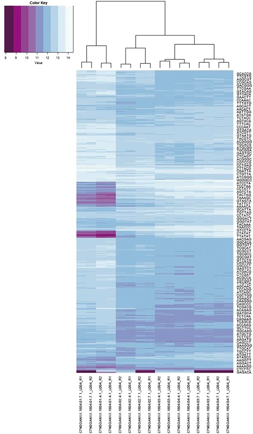 6-mer spectra (rows) and sample sequencing file co-spectra (columns). The dendrogram and row clustering are based on a standard Euclidean metric (only every 40th 6-mer is labelled).