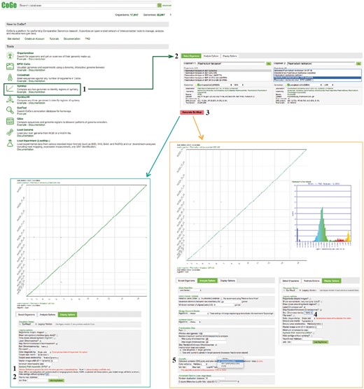 SynMap, CodeML and SPA sections of example Workflow 2. The displayed numbers match the steps indicated in the workflow section of the text. Colors represent two of the SynMap tools used on the example Workflow 2: SynMap’s SPA tool (teal) and SynMap’s CodeML tool (orange). Links to regenerate these screen captures are provided within the step-by-step instructions found in the text.