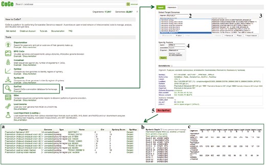 SynFind section of example Workflow 3. The displayed numbers match the steps indicated in the workflow section of the text. Screen capture of results from SynFind analysis: (a) summary table of syntelogs and genes proxy by regions; (b) syntenic depth table and (c) summary table of syntenic depth for all evaluated species. Links to regenerate these screen captures are provided within the step-by-step instructions found in the text.