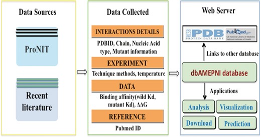 The flowchart for building the dbAMEPNI database.