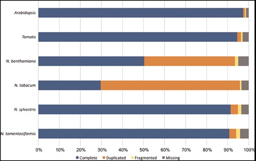 Assessment of the Nicotiana genome completeness. The percentages of the 1440 embryophyta single-copy orthologs identified in one complete copy (Complete), more than one complete copy (Duplicated), partially (Fragmented) or not identified (Missing) are shown.