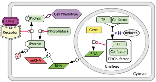 Data model for PD diagram using CellDesigner SBGN syntax.