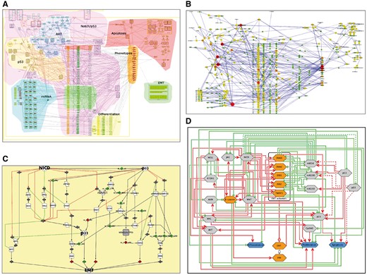 Retrieval of mechanistic model of EMT program control using EMT regulation map. (A) Comprehensive signalling map of EMT regulation, (B) hub player in functional modules of EMT map, (C) structural analysis and reduction of EMT map complexity; (D) scheme representing major mechanisms controlling EMT program.