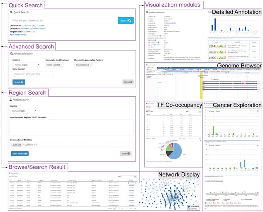 Schematic view of the LnChrom web interface. Users can query the resource through the ‘Quick search’, ‘Advanced search’, ‘Region search’ and ‘Browse’ panels, and the results include a brief table and a network display of the interactions. Users interested in individual interactions can click ‘more details’ within the table to access the visualization modules, which include ‘Detailed Annotation’, ‘Genome Browser’, ‘TF Co-occupancy’ and ‘Cancer Exploration’. In general, these modules were developed by integrating multi-omics data to gain insight into the regulatory mechanisms of lncRNAs. The ‘Detailed Annotation’ module illustrates a set of metadata that was curated from the original literature, lncRNA expression across different tissues from the Human Body Map project and sequence motif discovery of the lncRNA binding sites. ‘Genome Browser’ provides an intuitive illustration of the lncRNA binding sites and gene annotation. ‘TF Co-occupancy’ shows the potential cooperative TFs of lncRNAs in humans based on an integration of the binding sites for 161 TFs from the ENCODE project. The ‘Cancer Exploration’ module provides the expressions of lncRNAs and their target genes from the TCGA project and the genetic mutations around the lncRNA binding sites across cancers from the ICGC project.