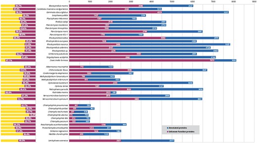 Status of functional annotation of PVC proteins. Total numbers (right) and percentage of total (left) proteins annotated (blue or yellow bars) and unannotated (purple) in each proteomes.