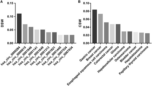The top 10 circRNAs that with the largest DSWs (A) and the top 10 diseases that with the largest CSWs (B).