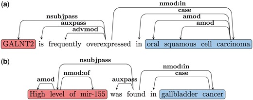 (a) Type B SDG Example 1. (b) Type B SDG Example 2.