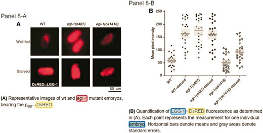 Annotations for Figure 8 of the paper PMC 186890 from SourceData (Refer to the link http://smartfigures.net/article/smartfigure/10.1038/sj.emboj.7601689/index/8).