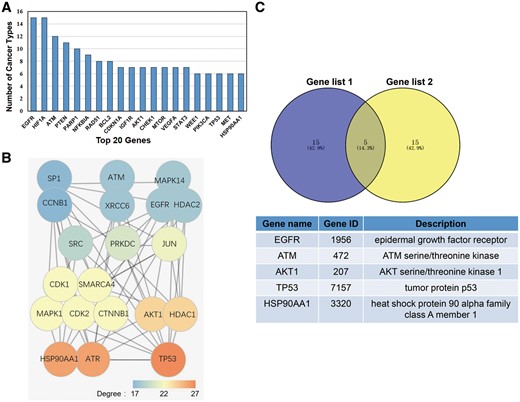 (A) The top 20 genes that function in multiple cancers. (B) The top 20 genes with the highest degree in the PPI network that were selected from the 395 genes included in this database. The colour indicates the degree of each gene. (C) Five genes were selected after overlaying the two gene sets.