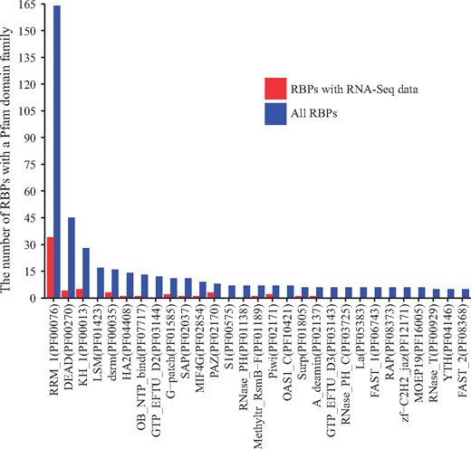 The number of RBPs containing a domain from a Pfam family with RNA-binding activity. Blue bars indicate the number of RBPs containing a domain from a family among all RBPs, and red bars indicate the numbers of RBPs containing a domain from a family among the RBPs with associated RNA-Seq datasets. Only families with a blue bar with ≥5 RBPs are shown.