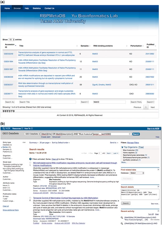 A use case of RBPMetaDB for the mouse RPB METTL3. (a) Here is a use case of RPB METTL3 to demonstrate the advantage of RBPMetaDB over GEO. By using the keyword ‘Mettl3’, RBPMetaDB accurately returns six mouse RNA-Seq datasets with Mettl3 perturbed. (b) However, GEO returns 35 mouse RNA-Seq datasets without identifying which datasets are from experiments with Mettl3 perturbed.