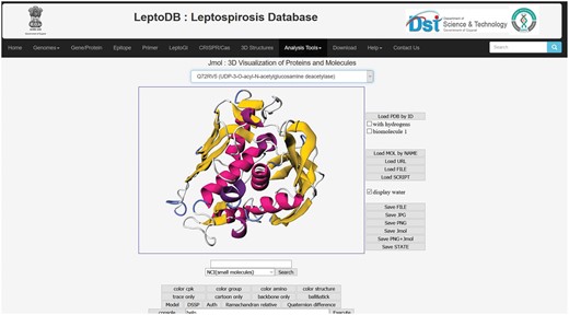 3D structure visualization in Jmol.