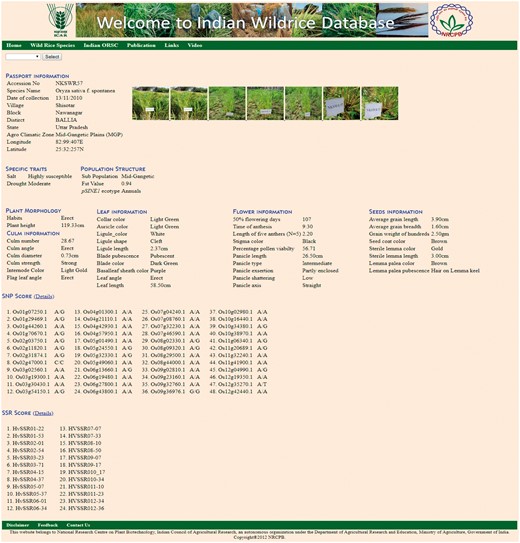 Accession page showing details of morphological characters with photograph and passport data.