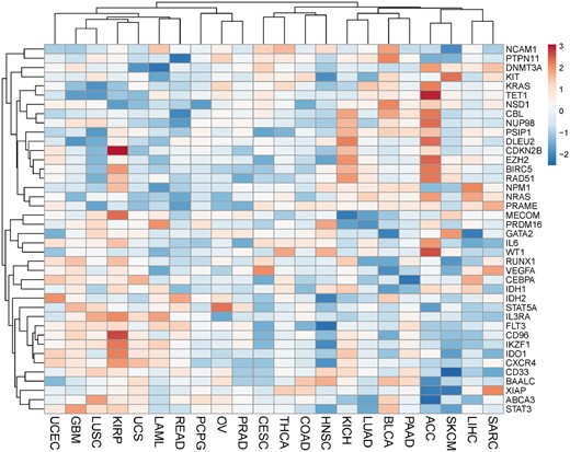 Heatmap of prognostic Z-scores of 40 genes in the 22 TCGA cancer set. The prognostic Z-scores obtained from the PRECOG database are represented by the scale bar. The polarity of the prognostic Z-score reflects the direction of association. TCGA cancer type abbreviations: ACC, Adrenocortical carcinoma; BLCA, bladder urothelial carcinoma; CESC, cervical squamous cell carcinoma and endocervical adenocarcinoma; COAD, colon adenocarcinoma; GBM, glioblastoma multiforme; HNSC, head and Neck squamous cell carcinoma; KICH, kidney chromophobe; KIRP, kidney renal papillary cell carcinoma; LAML, acute myeloid leukemia; LIHC, liver hepatocellular carcinoma; LUAD, lung adenocarcinoma; LUSC, lung squamous cell carcinoma; OV, ovarian serous cystadenocarcinoma; PAAD, pancreatic adenocarcinoma; PCPG, pheochromocytoma and paraganglioma; PRAD, prostate adenocarcinoma; READ, rectum adenocarcinoma; SARC, sarcoma; SKCM, skin cutaneous melanoma; THCA, thyroid carcinoma; UCEC, uterine corpus endometrial carcinoma; UCS, uterine carcinosarcoma.